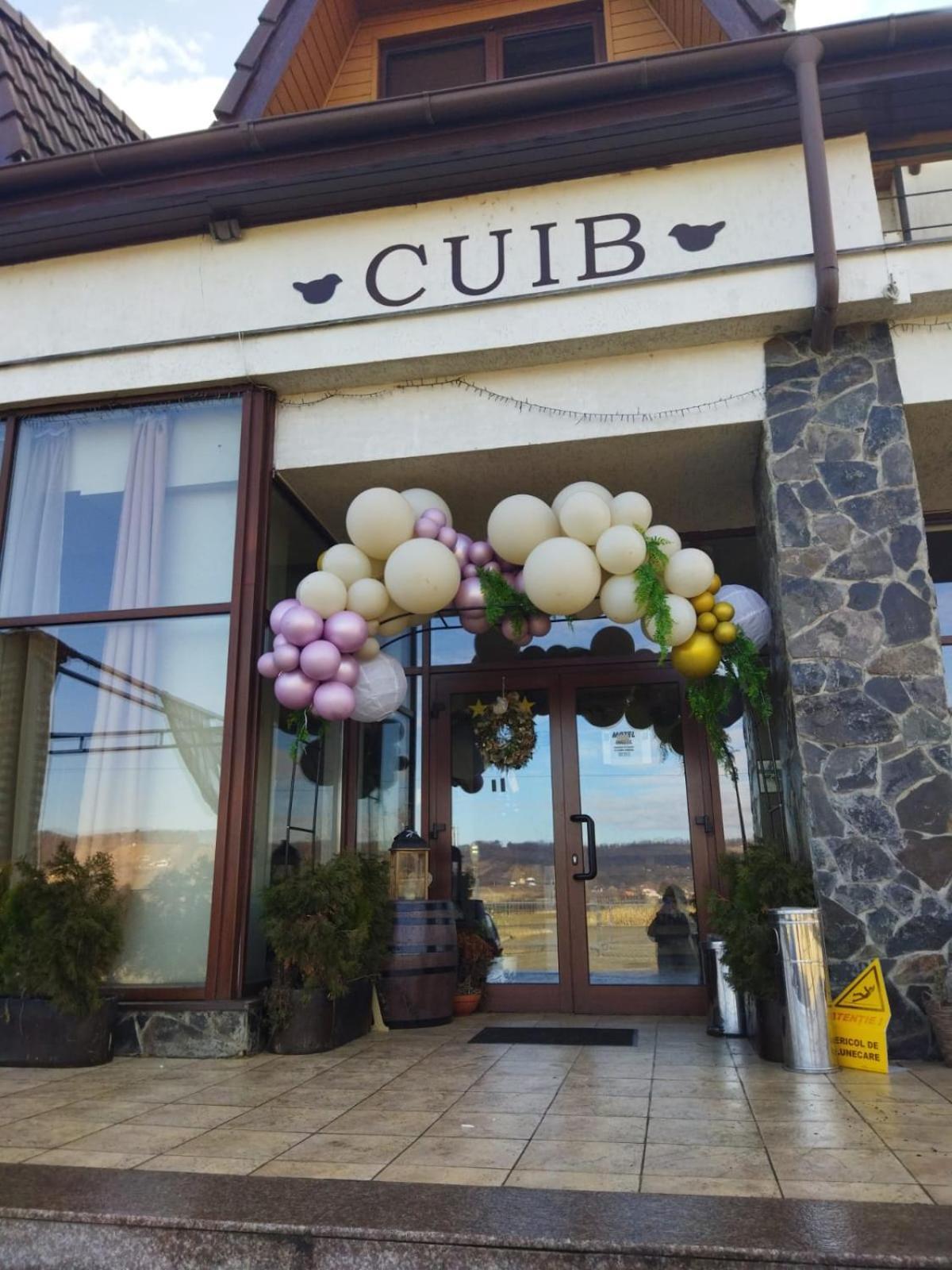 Hotel La Cuib Cristian  Habitación foto